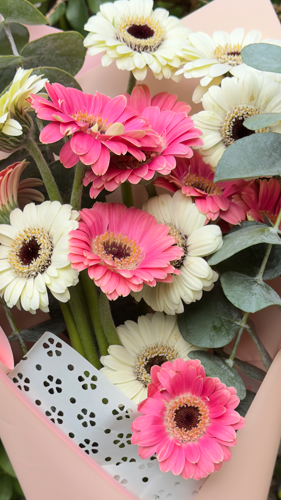 Latidos del corazón